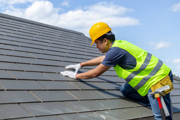 Best Roof Gutter Cleaning  in Terre Haute, IN